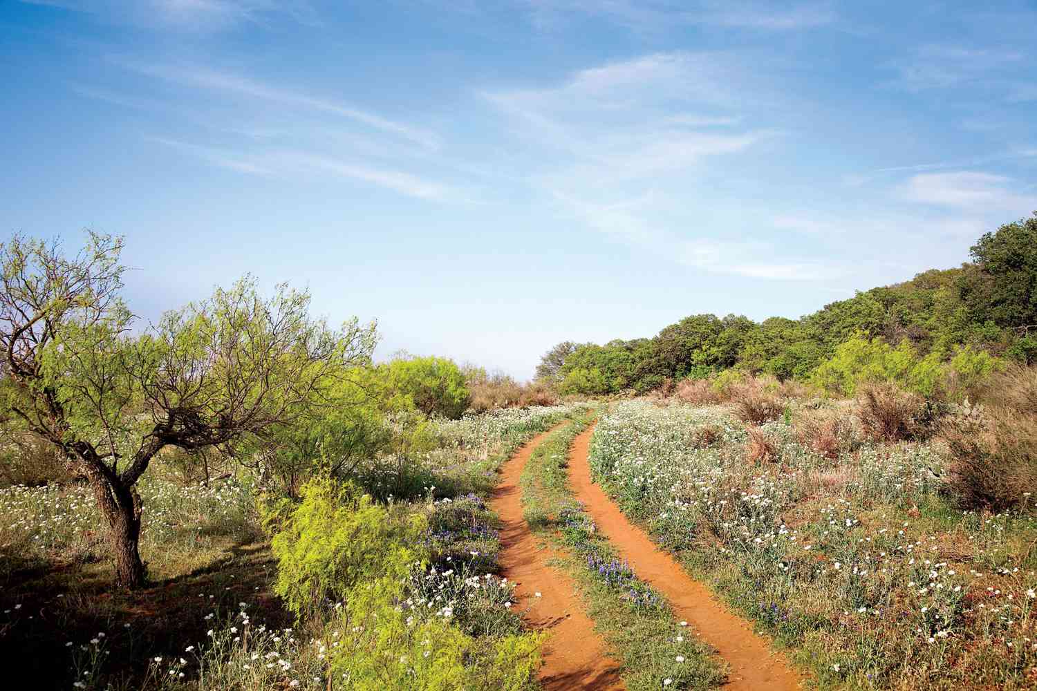 Boerne Bliss: Exploring the Best of Texas Hill Country Living