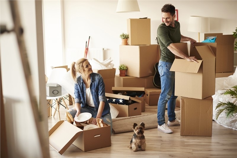 The Ultimate Guide to Choosing Condo Moving Companies: A Stress-Free Move