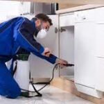 How to Prepare Your Seattle Apartment for Pest Control?