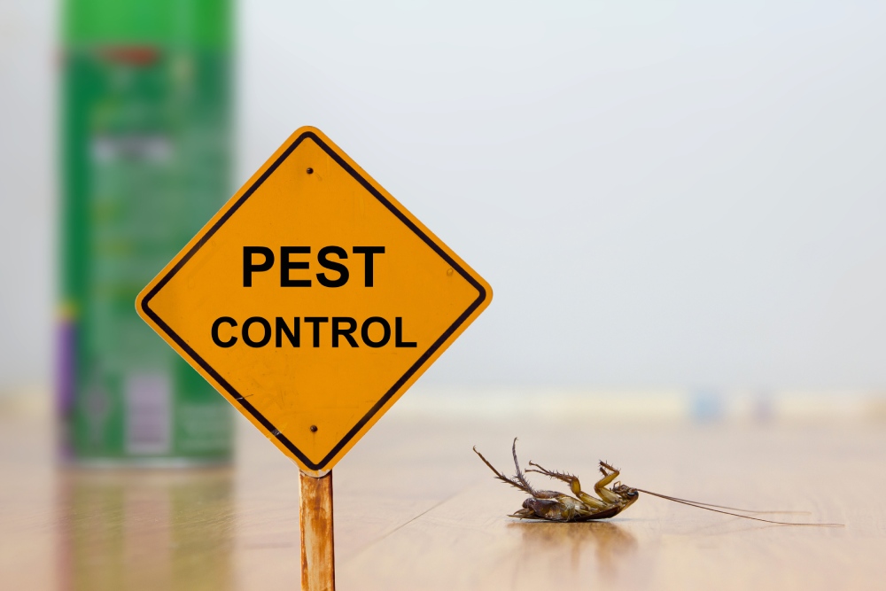 The Ultimate Guide to Seasonal Pest Control in McKinney, TX: What to Expect and How to Prepare