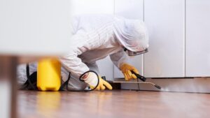 Understanding Pest Control Treatments: What to Expect and How to Prepare