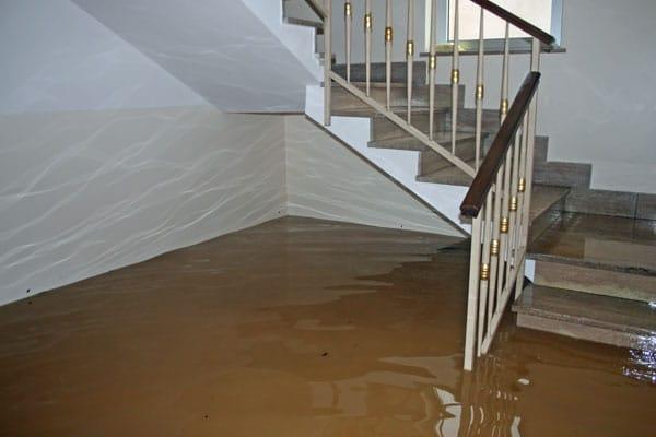 Water Damage Restoration and Expert Solutions to Be Aware Of