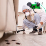 Choosing the Right Pest Control Company Near You: What Matters Most