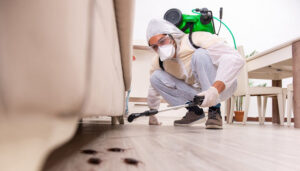Choosing the Right Pest Control Company Near You: What Matters Most