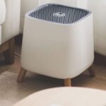 Breathe Better for Less: Exclusive Deals on High-Performance Air Purifiers