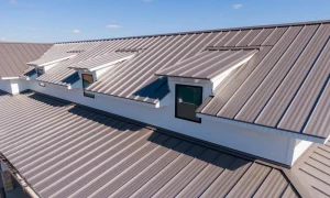 Is Metal Worth It for Your Next Louisiana Roof?